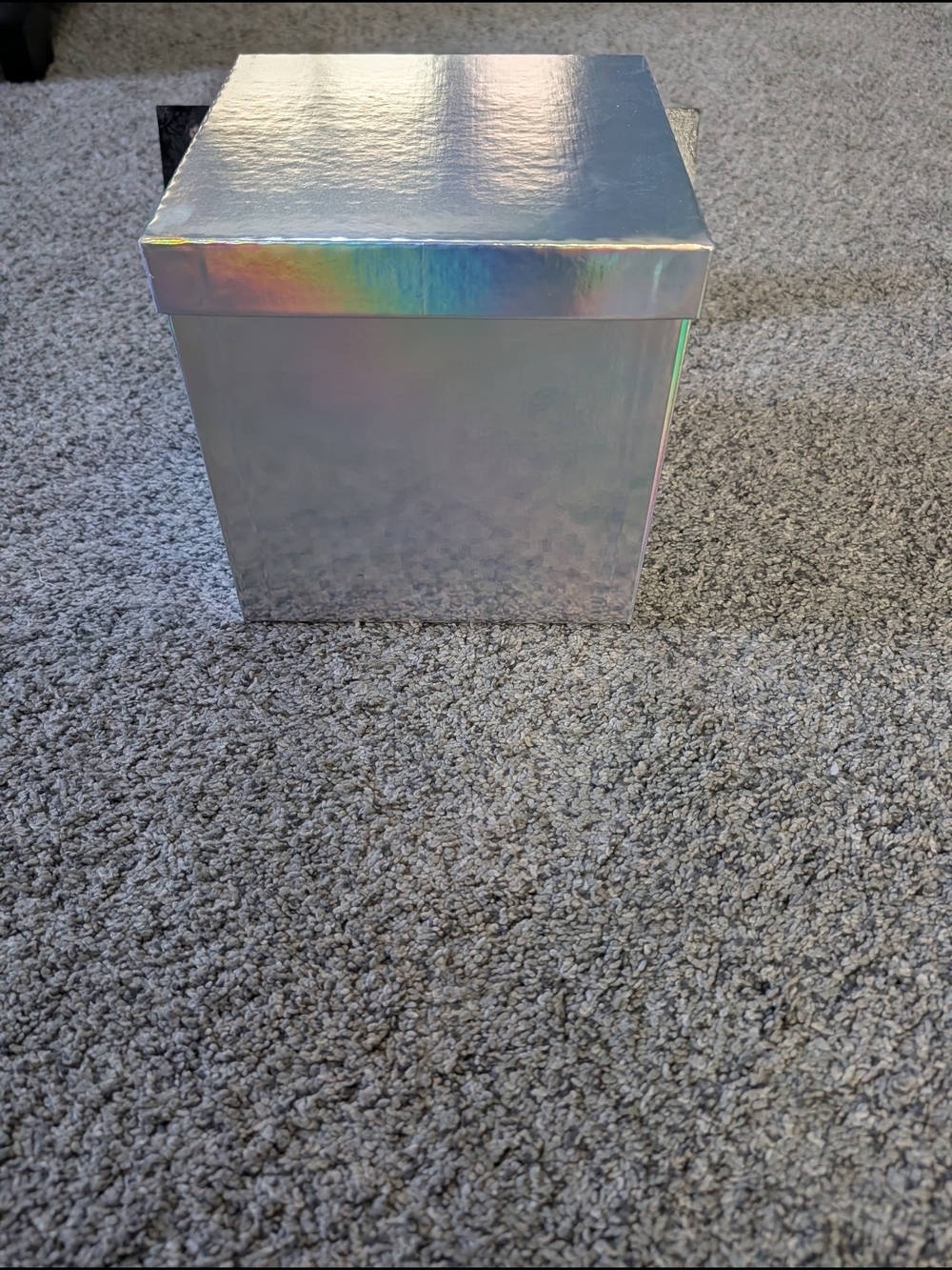 Euc Iridescent Gift Box with Removable Lid